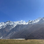 langtang trekking-in-nepal